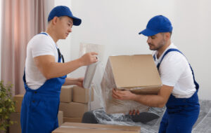 professional packing services