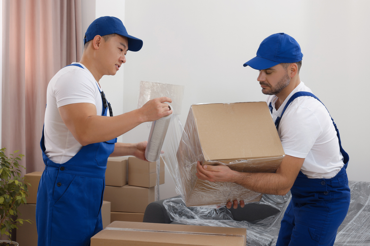 professional packing services